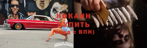 индика Магадан