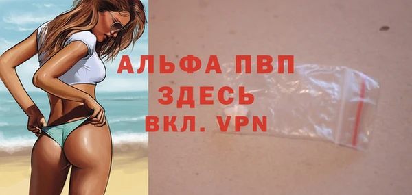 индика Магадан