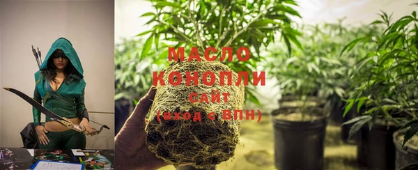 индика Магадан